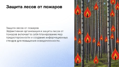 Организация и защита леса от пожаров.Изготовление стендов