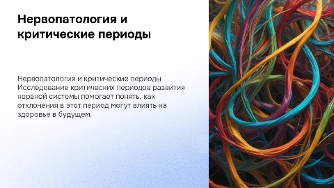 Нервопатология.Критические периоды в развитии нервной системы