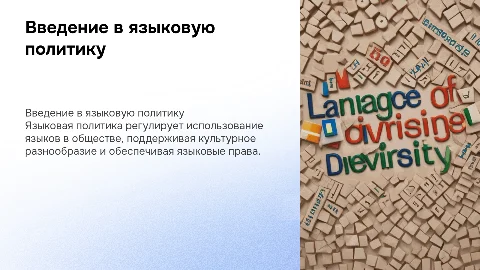 Языковая политика