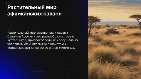 Африка. Растительный мир саванн