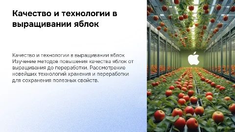 Качество и технологии при выращивании яблок