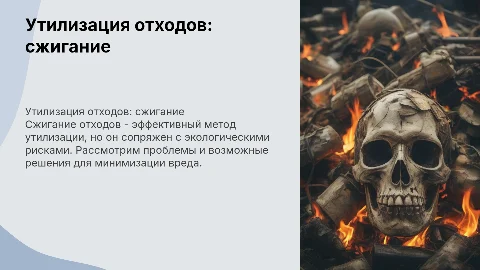 Утилизация отходов: сжигание. Проблемы и пути решения