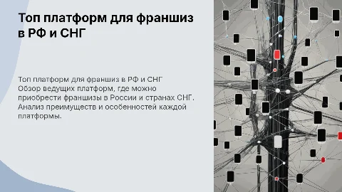 топ платформ по продаже франшиз РФ и СНГ