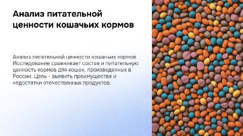 Сравнительный анализ питательной ценности кормов для кошек