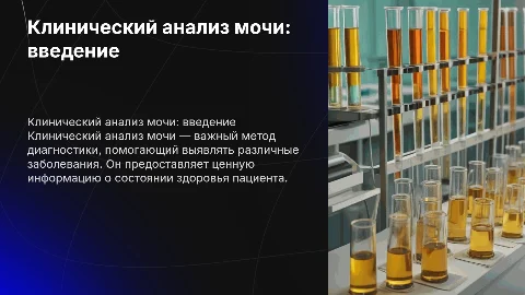 Проведение клинического анализа мочи