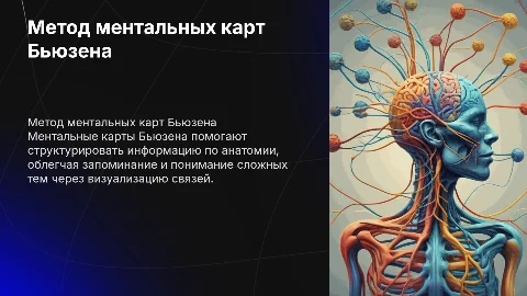Метод ментальных карт бьюзена при изучении анатомии