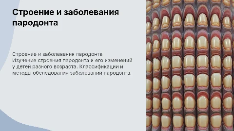Строение пародонта и его заболевания у детей: презентация