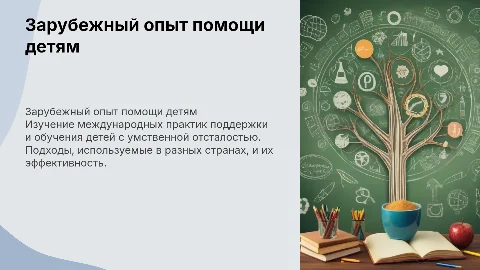 Зарубежный опыт работы с детьми с умственной отсталостью