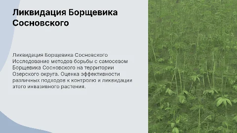 Эффективные способы ликвидации Борщевика Сосновского