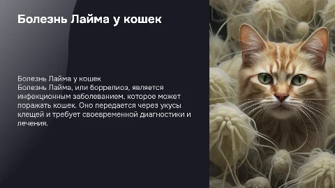 Болезнь лайма, боррелиоз у кошек