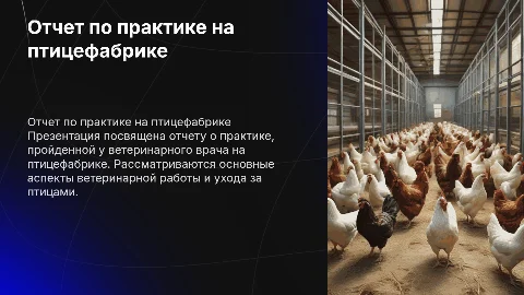 Презентация защиты отчета по практике у ветеринарного врача