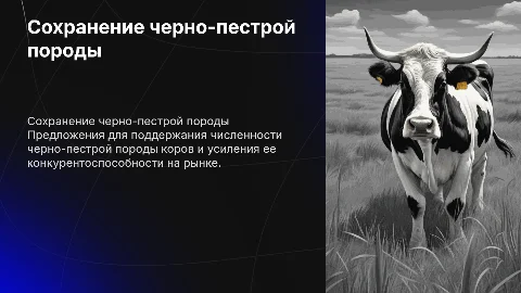Предложения для сохранения черно-пестрой породы коров