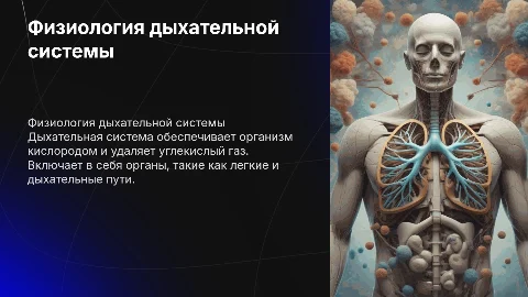 физиология системы дыхания