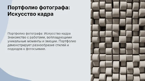 портфолио фотографа