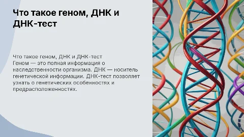 Название презентации: Что такое геном, ДНК и ДНК-тест