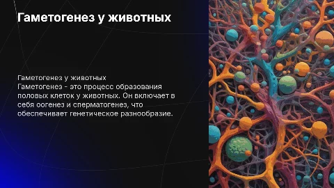 Презентация по биологии: Гаметогенез у животных