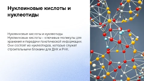 Нуклеиновые кислоты: состав и строение нуклеотидов