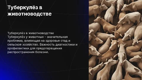 Туберкулёз в животноводчестве