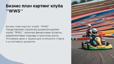 Бизнес план картинг клуб "WWS"