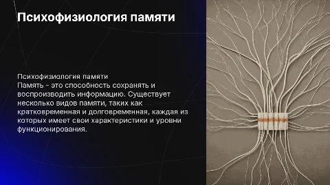 Психофизиологические особенности памяти: виды и характеристики