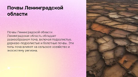 Почвы Ленинградской области