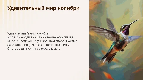 Колибри