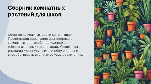 Сборник комнатных растений для образовательных организаций