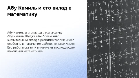 Абу Камиль Шуджа ибн Аслам и его вклад в действительные числа