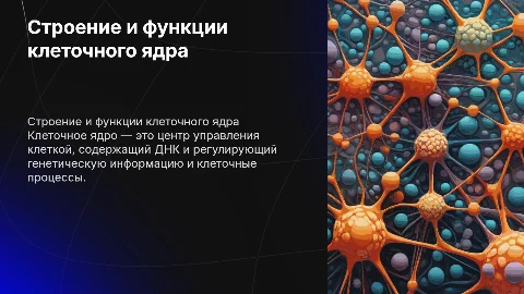 Строение и функции ядра