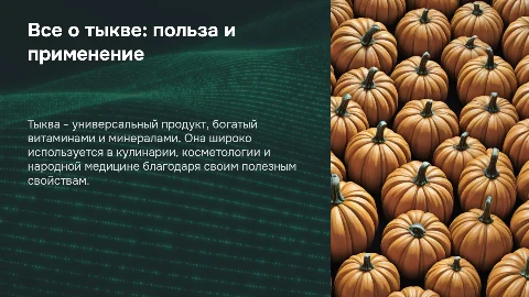 Все о тыкве: польза и применение
