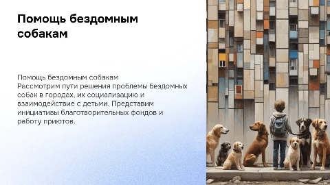 Очищение городов от безнадзорных собак и социализация