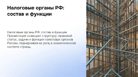 Налоговые органы Российской Федерации: состав и функции