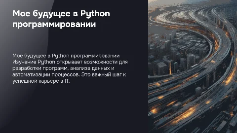 Мое будущее в программировании Python