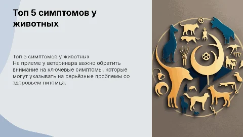 топ 5 симптомов на приеме ветеринарного врача терапевта