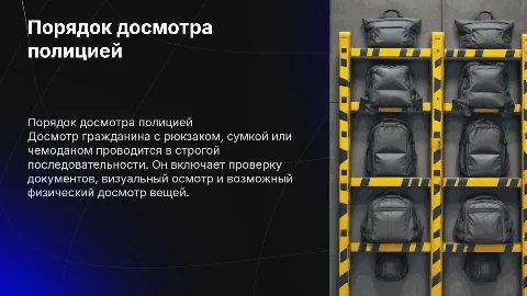 Последовательность досмотра гражданина с рюкзаком и сумкой