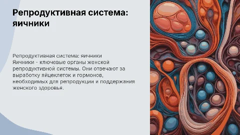 РЕПРОДУКТИВНАЯ СИСТЕМА- ЯИЧНИКИ