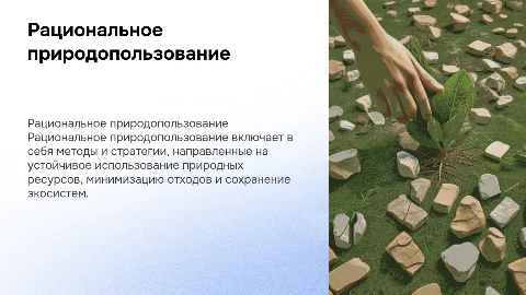 Презентация на тему рациональное природопользование