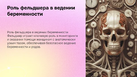 Профессиональная деятельность фельдшера при ведении беременности