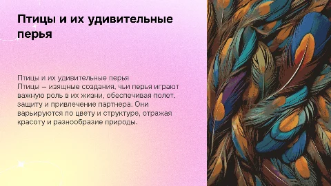 Птицы и птичьи перья