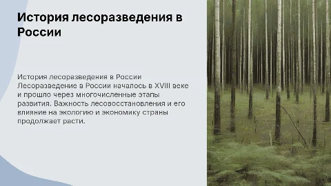История лесоразведения в России