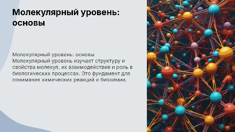 Молекулярный уровень : общая характеристика