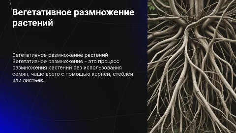 вегетативное размножение растений