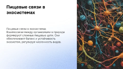 Пищевые связи в природных сообществах