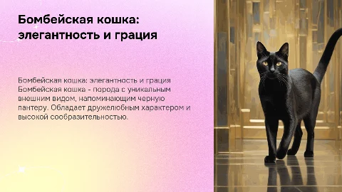 Бомбейская кошка