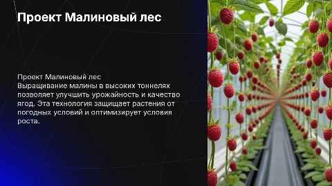 Проект Малиновый лес: Выращивание малины в тоннелях