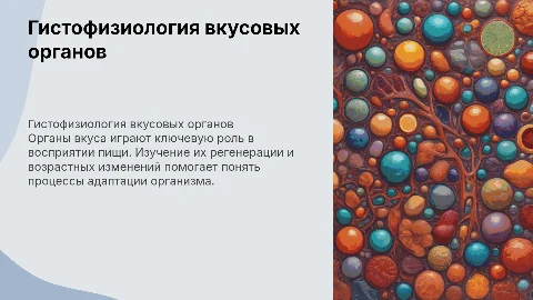 Гистофизиология органа вкуса. Регенерация. Возрастные изменения