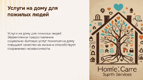 предоставление социально-бытовых услуг пожилым людям на дому