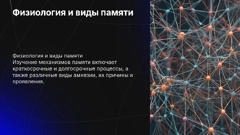 Физиология памяти: виды, механизмы и амнезия