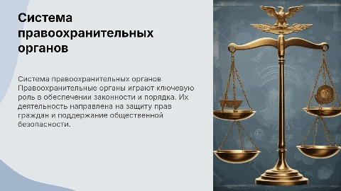 система правоохранительных органов