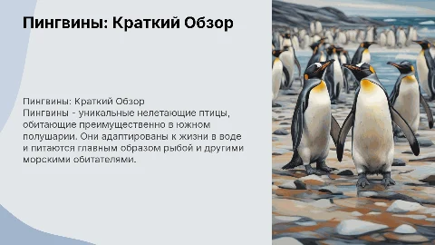 Презентация о пингвинах: внешний вид, ареал и образ жизни